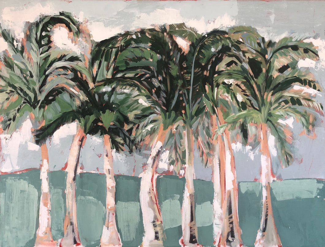 Palm Beach Row Palms