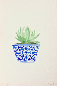 Chinoiserie Succulent