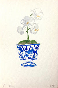 Chinoiserie Orchid